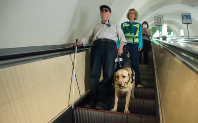 image for It’s International Guide Dog Day on April 28th